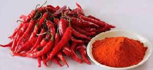 Hot Red Chilli Powder