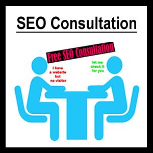 seo consultation service