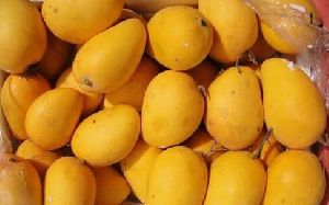 Pure Kesar Mango