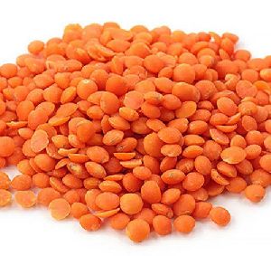 Processed Red Masoor Dal
