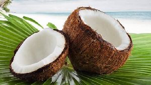 fresh coconut