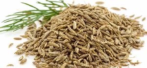 cumin seeds