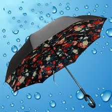 Rainy Umbrella