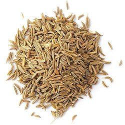 Pure Cumin Seeds