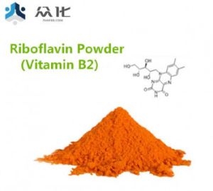 High Quality Riboflavin Powder