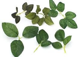 Artificial leaves