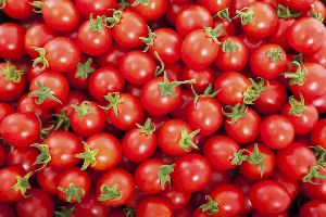 Fresh Cherry Tomatoes