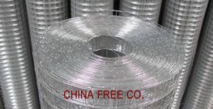 Welded Wire Mesh