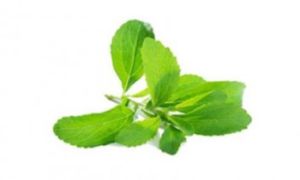 Stevia Extract From The Plant