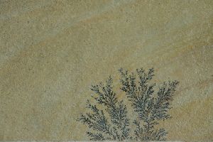 Mint Fossil Natural Sandstone Paving