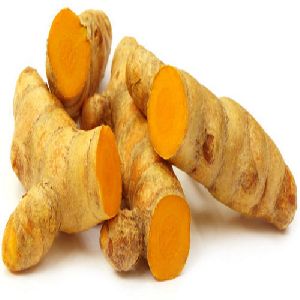 Fresh Whole Turmeric