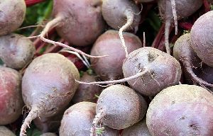 fresh beetroot