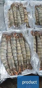 Head On Shell On Bt Shrimps