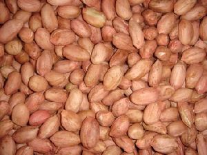 Dried Peanut Kernels