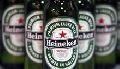 Heineken  bottle 25ml/330ml /500ml
