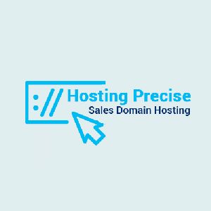 Hosting Precise, Cheap Web Hosting