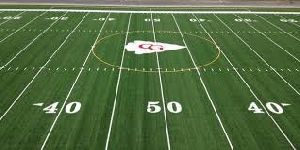 field turf