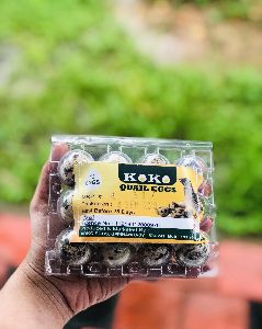 Koko Quail eggs