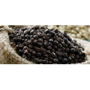 BB2 Black Pepper Seeds