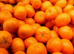 Citrus Fruit