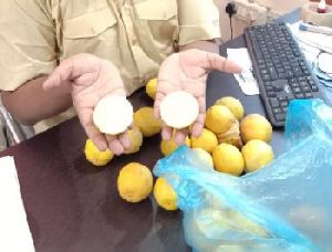 Balaji Lemon Grafted Plant