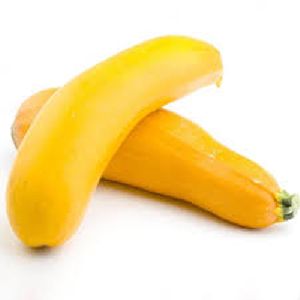 Fresh Yellow Zucchini