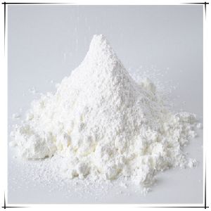 L-Carnosine Powder