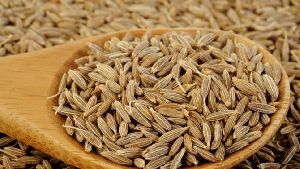 cumin seeds