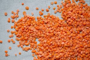 Split Red Lentils