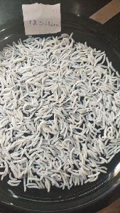 long grain ( IR 64) and basmati rice ( 1121 , 1401,1509, PR11/14, SHARBATI, PUSA ))