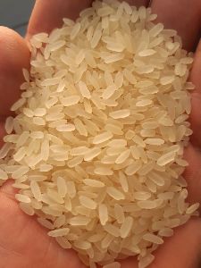 White grain rice Best quality