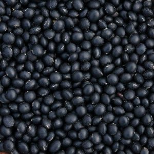 Black Soybean Seeds