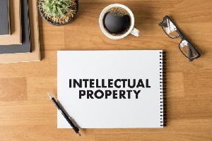 Intellectual Property Law Services