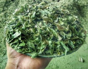 Cassia Obovata/ Awal Leaves