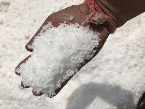 Crystal Salt (Common) {Raw}