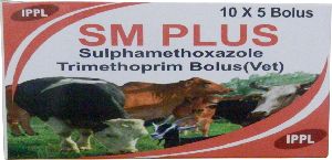 sulphamethoxazole trimethoprim veterinary bolus