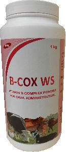 Vitamin B Complex Powder