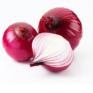 Fresh Big Onion