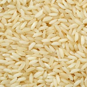 Sona Masoori Non Basmati Rice