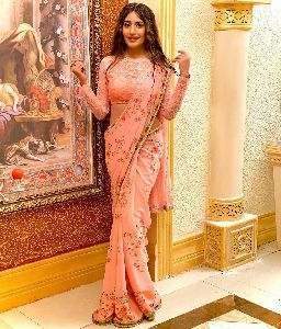 Designer Gorgeous Saree