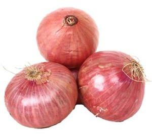 fresh onion