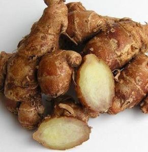 aromatic ginger