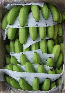 fresh green banana