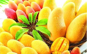 Rajapuri Mango