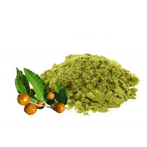 Sidr Powder