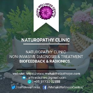 Alternative Medical Therapies Non-Invasive Diagnosis and Therapy