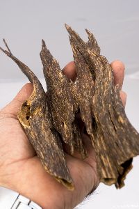 Agarwood Bast