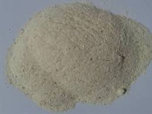 Vidharikand Dry Extract