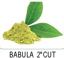 Babula 2" Cut Babula 2" Cut