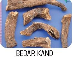 Bedarikand Bedarikand